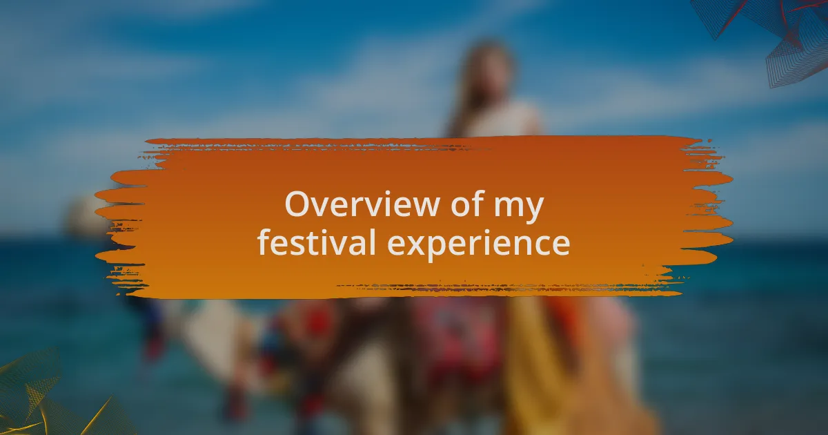 Overview of my festival experience