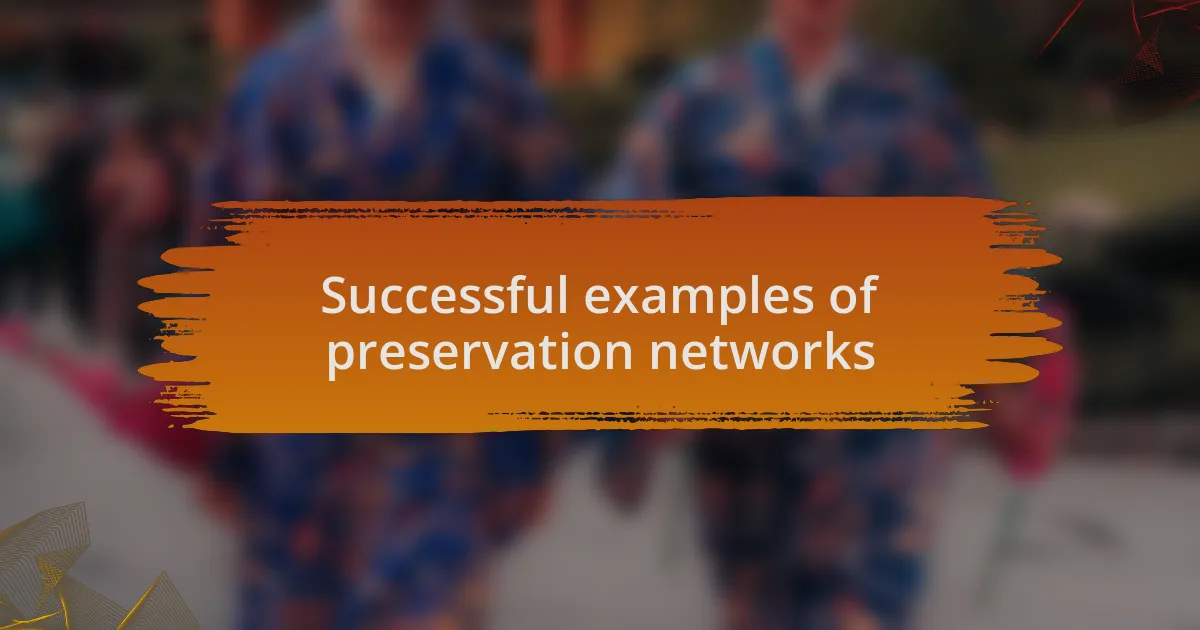 Successful examples of preservation networks