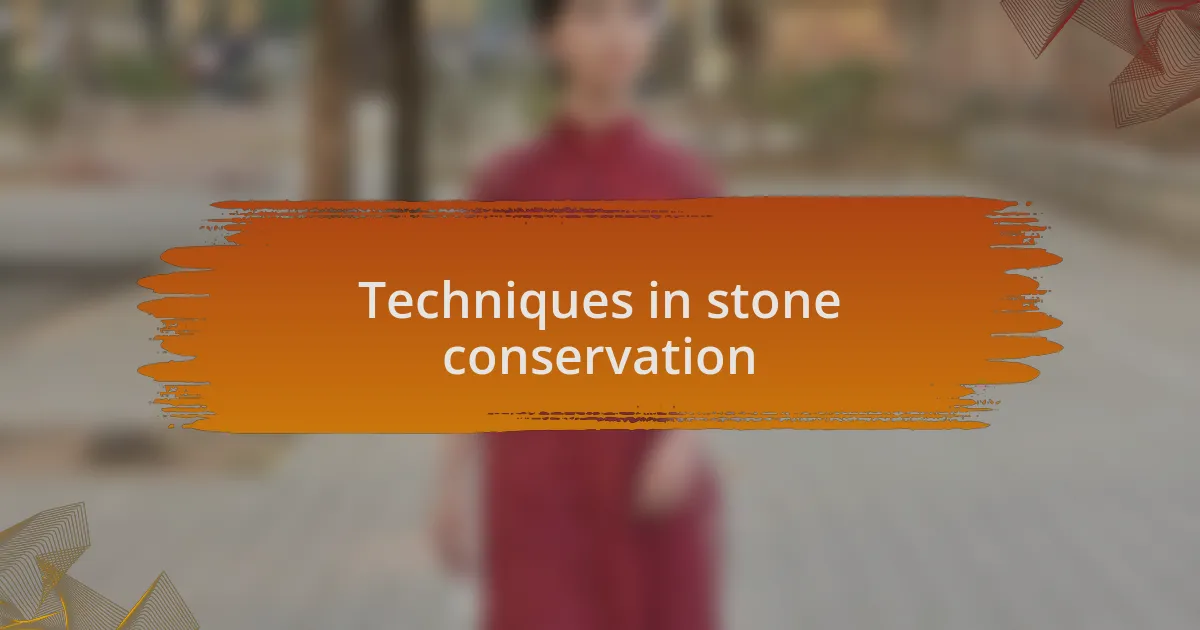 Techniques in stone conservation
